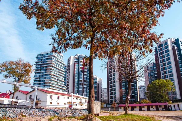 Tree and buildings wallpaper. Abstract urban development and architecture wallpaper. Blue sky and pretty view. Veliefendi Hippodrome, stanbul, Turkey.