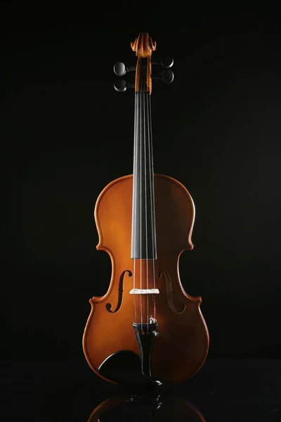 Geige Auf Schwarzem Hintergrund — Stockfoto