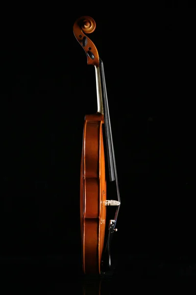 Violino Sobre Fundo Preto — Fotografia de Stock
