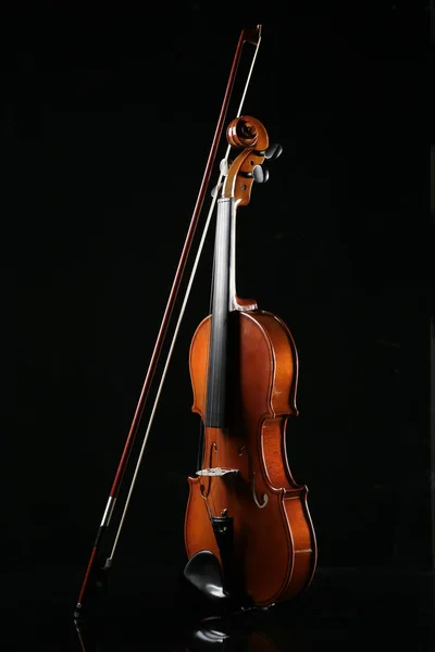 Violin Svart Bakgrund — Stockfoto