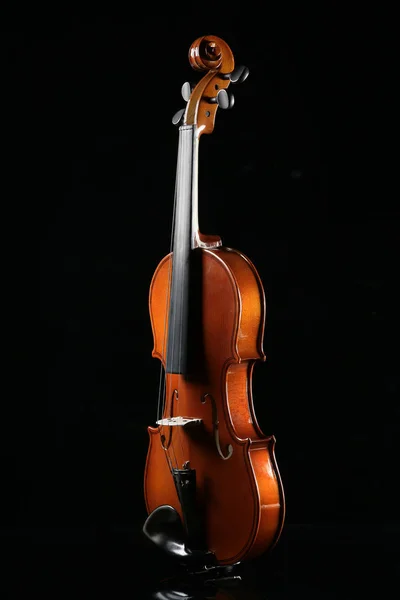 Violin Svart Bakgrund — Stockfoto