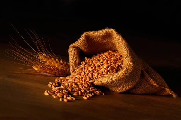 Jute Sack Wheat Grains — Stock Photo, Image