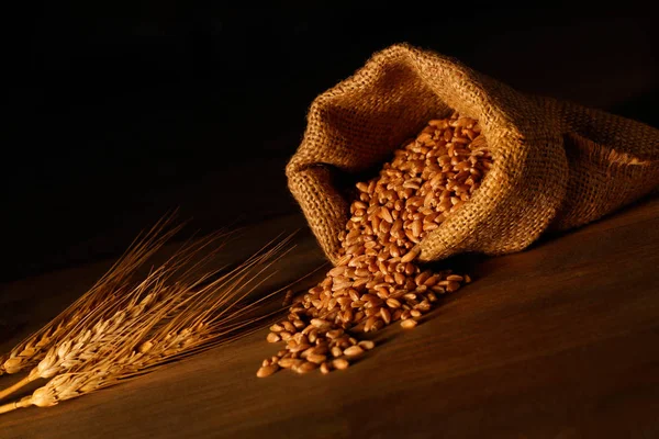 Jute Sack Wheat Grains — Stock Photo, Image