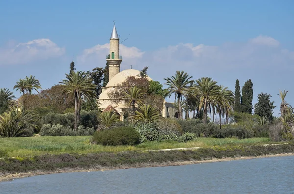 Вид на мечеть Умм Харам или Хала Султан Текке на западе — стоковое фото