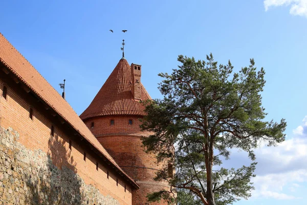 Fait partie du château de Trakai, château médiéval gothique de l'île, situé dans — Photo