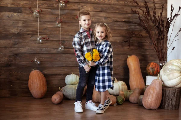ポンプと秋の背景で自宅で小さな愛らしい子供たち — ストック写真