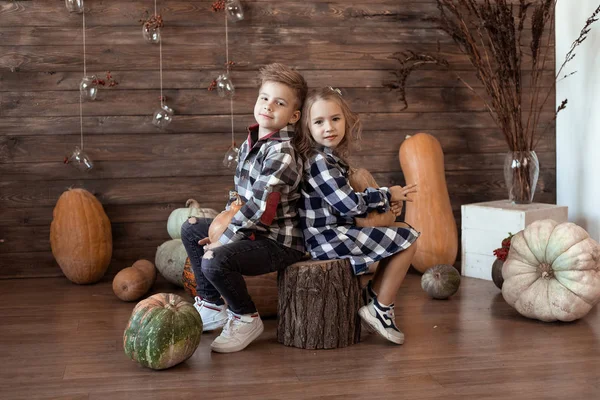 カボチャを手に家に座っている小さな男の子と女の子, — ストック写真