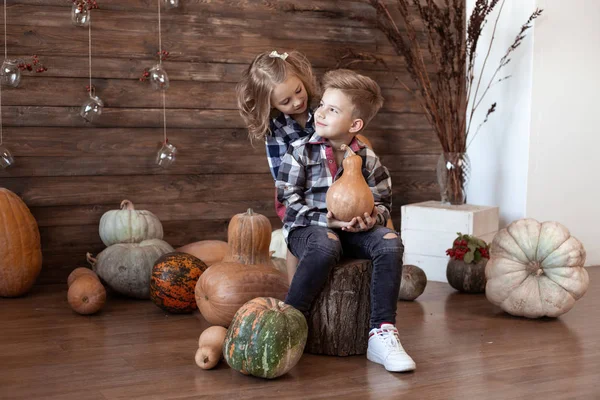 Menino e menina em casa no fundo do outono com abóboras — Fotografia de Stock