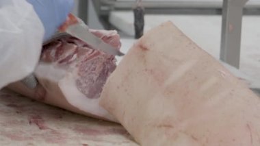 Bir fabrikada kesim et