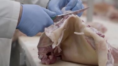 Bir fabrikada kesim et