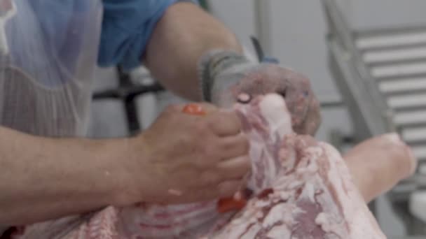 Fleischschneiden in einer Fabrik — Stockvideo