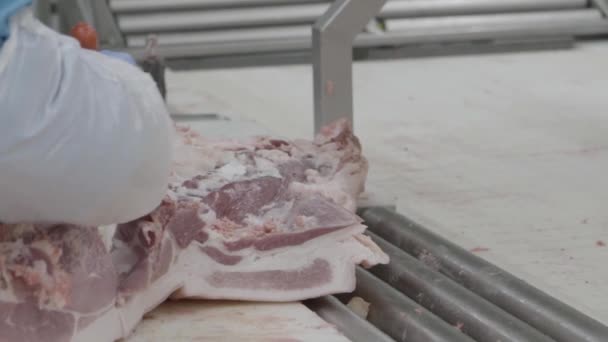Резка мяса на заводе — стоковое видео