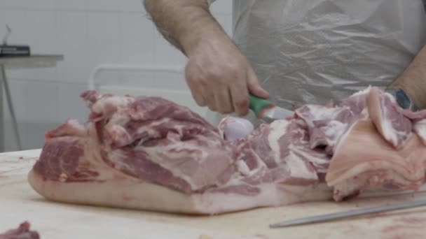 Cutting meat in a factory — Stock Video