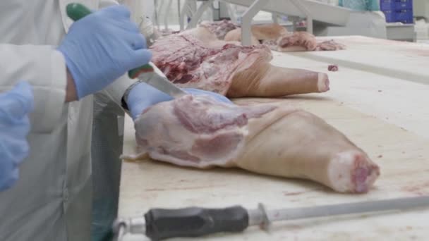 Découpe de viande dans une usine — Video