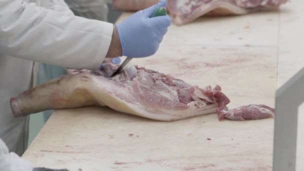 Κοπή κρέατος σε ένα εργοστάσιο — Αρχείο Βίντεο