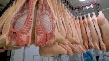 Domuz leşleri fabrikada asmak