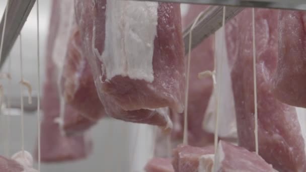 La carne di salsiccia — Video Stock