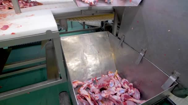 Carne cruda en una fábrica de envasado de carne — Vídeos de Stock