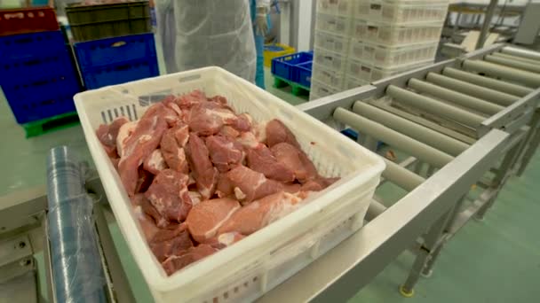 Carne cruda in una fabbrica di confezionamento di carne — Video Stock