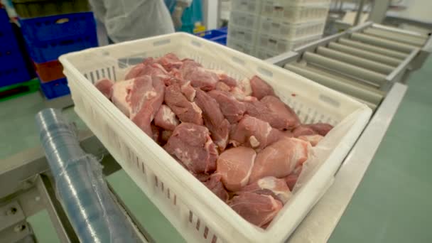 Rauw vlees in een fabriek verpakken van vlees — Stockvideo