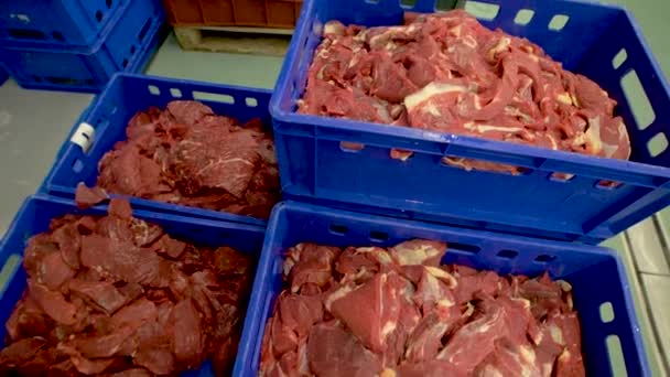 Rått kött på en kött-förpackning fabrik — Stockvideo