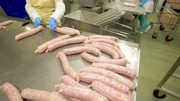 Sausage production at the factory — Stock Video