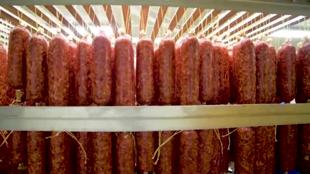 The sausage meat — Stock Video