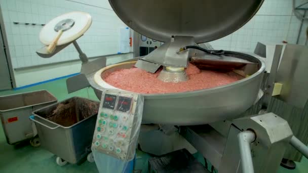 Sausage production at the factory — Stock Video