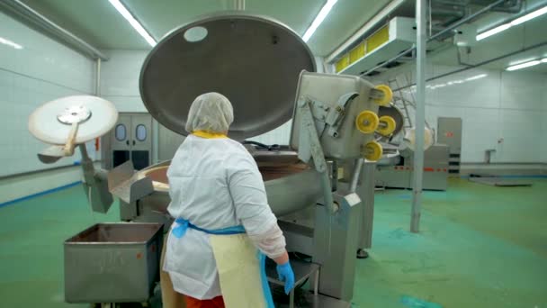 Producción de salchichas en la fábrica — Vídeos de Stock