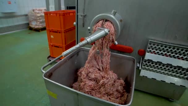 Виробництво ковбаси на заводі — стокове відео