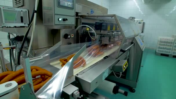 Sausage production at the factory — Stock Video