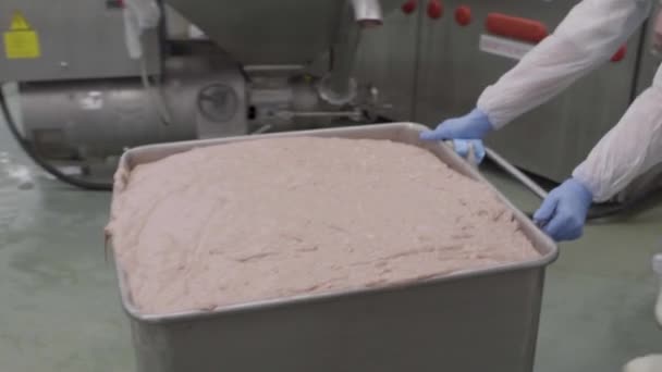 Carne cruda en una fábrica de envasado de carne — Vídeos de Stock