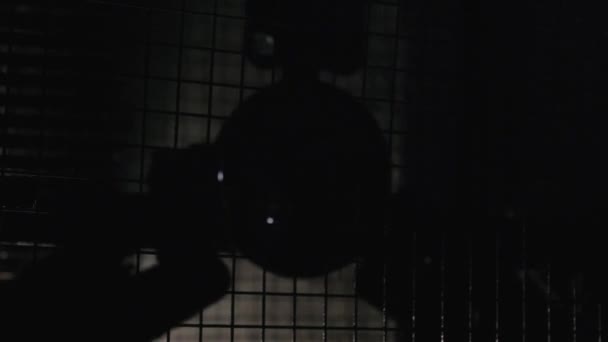Жах у темному підвальному середовищі — стокове відео