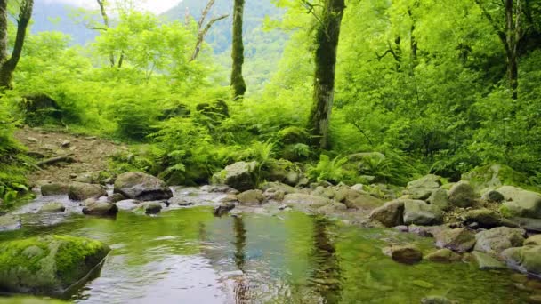 山の川の背景 — ストック動画