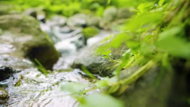 Fondo del río de montaña — Vídeo de stock