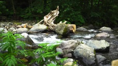 dağ nehir arka plan