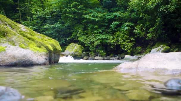 Sfondo fiume di montagna — Video Stock