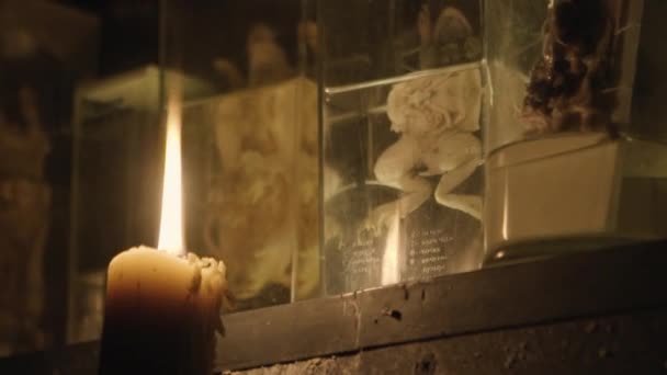 Horror - girl with a candle in a dark basement — Stock Video