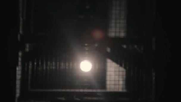 Horror in a dark basement environment — Stock Video
