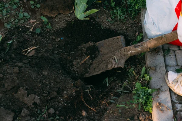 Pala Planta Tierra Agricultura Herramientas Cultivo Pala Gotear Tierra Cavar — Foto de Stock