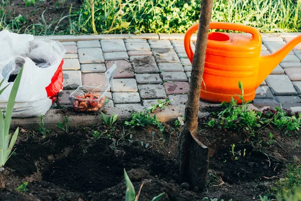 Gießkanne Und Schaufel Den Boden Neben Den Samen Der Blume — Stockfoto