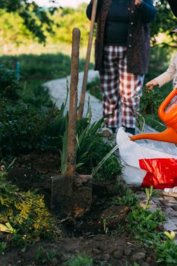 toprağa kürek, bitki bitkiler insanlar, onları su. çiftlik ekose kadında dolu arka planda pantolon
