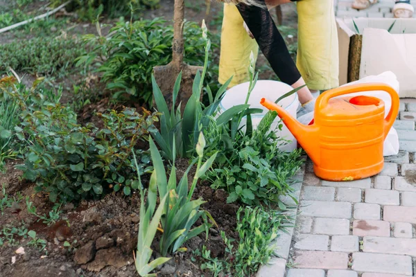 Hände Handschuhen Pflanzen Samen Bäuerin Kümmert Sich Die Pflanzen Auf — Stockfoto