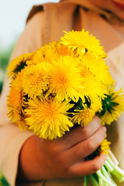 Boeket Van Paardebloemen Handen Van Kinderen Handen Met Een Paardebloem — Stockfoto