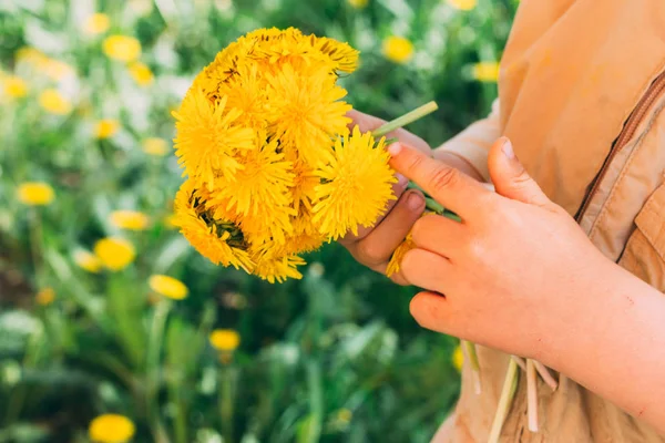 Boeket Van Paardebloemen Handen Van Kinderen Handen Met Een Paardebloem — Stockfoto