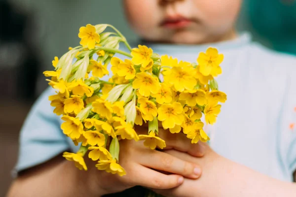 Vervagen Jongen Houdt Geel Veld Bloemen Geeft Hen Tonen Camera — Stockfoto