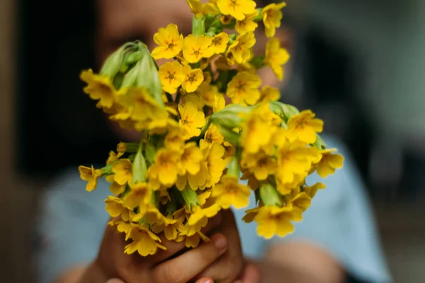 Vervagen Jongen Houdt Geel Veld Bloemen Geeft Hen Tonen Camera — Stockfoto