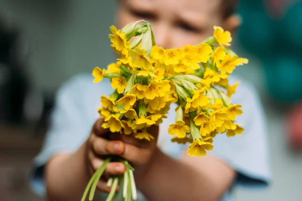 Vervagen Jongen Houdt Geel Veld Bloemen Geeft Hen Tonen Camera — Stockfoto