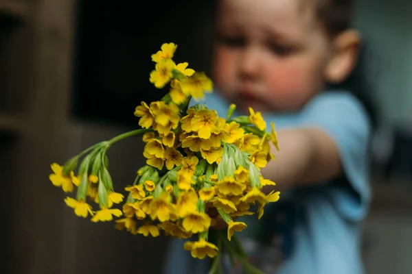 Vervagen Jongen Houdt Geel Veld Bloemen Geeft Hen Tonen Camera — Stockfoto