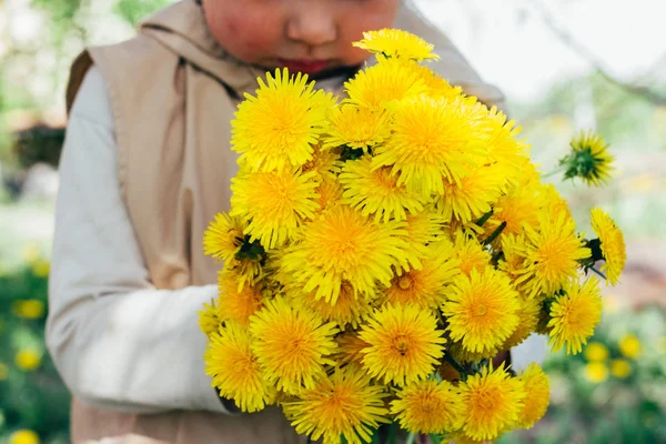 Boeket Van Paardebloemen Handen Van Kinderen Handen Met Een Paardebloem — Stockfoto